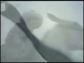 kanuni sultan süleyman TEK PARCA