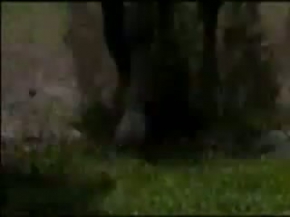 Yavuz Sultan Selim belgeseli