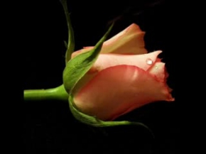 Esselâm vEysel DAlsaldı