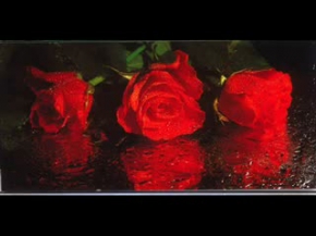 Çıktım Erik Dalına İlahi Süleyman Şahintürk