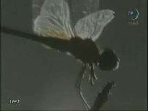 Ahmet Turan - Unutamam Seydam Seni - Ilahi