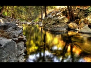 ben bir yakup idim, ender dogan