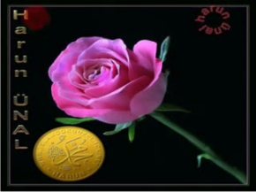 İbretlik Bir Dostluk Örneği