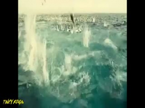 Oskar ödülü alan belgesel