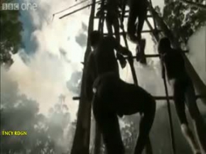 harika bir görsel sölen