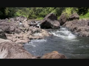 Liderlik ve Kararlılık Üzerine - Life-Hayat