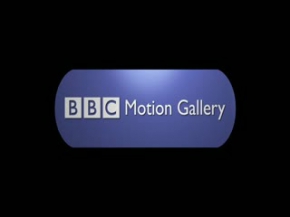 muhteşem okyanus altı görüntüleri