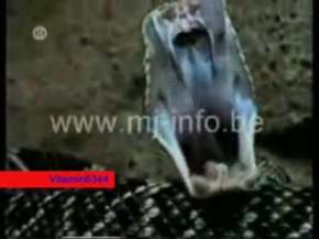 Müthiş bir belgesel derlemesi - Mutlaka izle