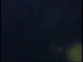 Penguenlerin Yaşamı Buzun İmparatorları