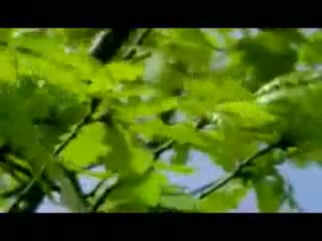 Cehennemden Mektup 5/5