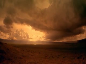 Afrika Serengeti vahşi yaşam