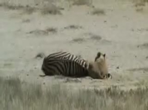 Ölüm Kalım Savaşı