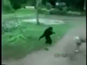 Maymunun Tehlikeli şakası