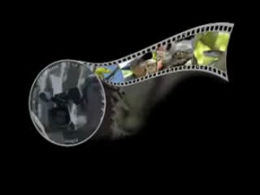 Pitonla timsahın ölümüne kavgası