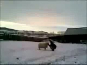 Koç, adeta intikam aldı