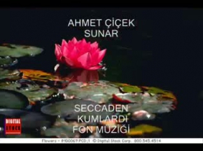 Seccaden Kumlardı - fon