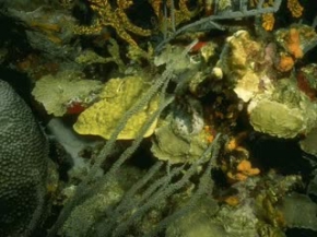 Şeytanın hilelerinden biri heykeller hikaye 