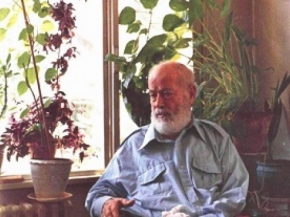Şema Yanan Pervane Ol