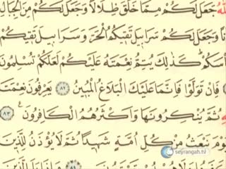 Şefaat nedir? Ayetlerde ve hadislerde şefaat Bölüm-2