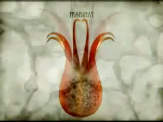 Tesbihat - Esma-i Hüsna